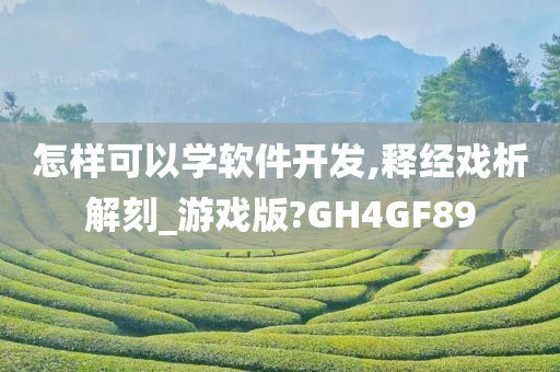 怎样可以学软件开发,释经戏析解刻_游戏版?GH4GF89