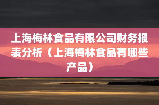 上海梅林食品有限公司财务报表分析（上海梅林食品有哪些产品）