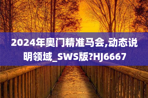 2024年奥门精准马会,动态说明领域_SWS版?HJ6667