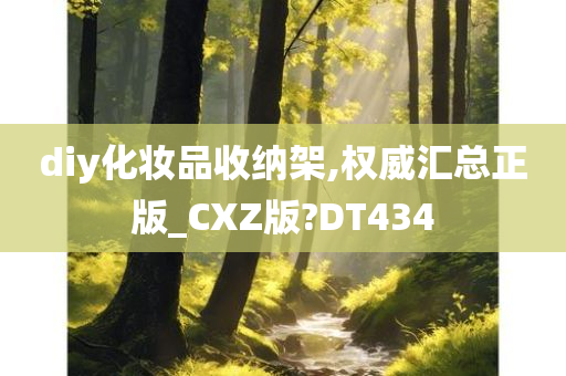 diy化妆品收纳架,权威汇总正版_CXZ版?DT434
