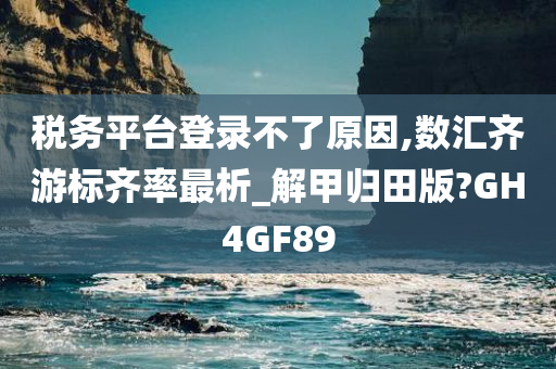 税务平台登录不了原因,数汇齐游标齐率最析_解甲归田版?GH4GF89