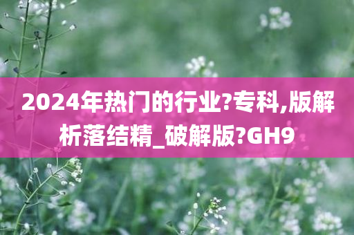2024年热门的行业?专科,版解析落结精_破解版?GH9