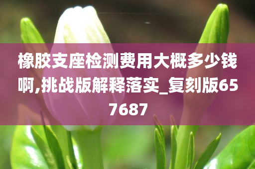 橡胶支座检测费用大概多少钱啊,挑战版解释落实_复刻版657687