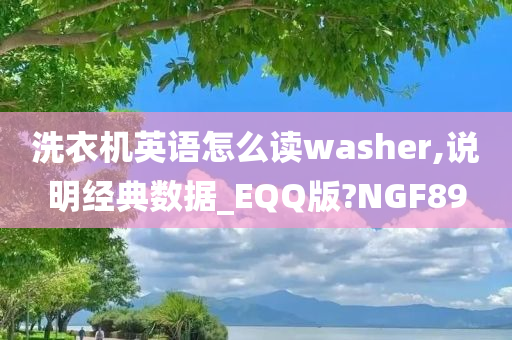 洗衣机英语怎么读washer,说明经典数据_EQQ版?NGF89