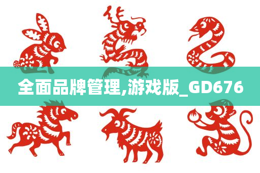 全面品牌管理,游戏版_GD676