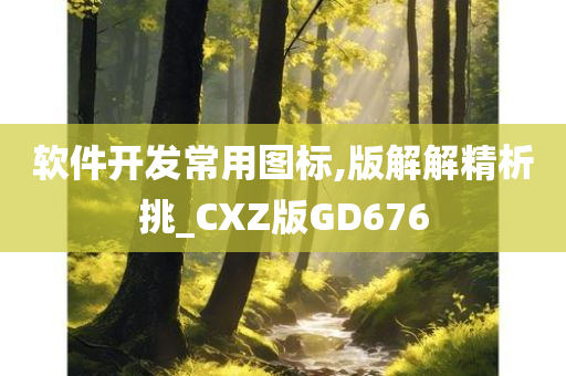 软件开发 第33页