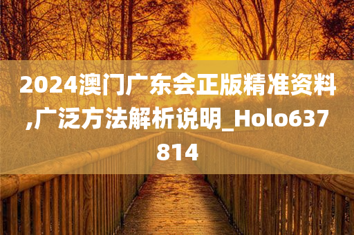 2024澳门广东会正版精准资料,广泛方法解析说明_Holo637814