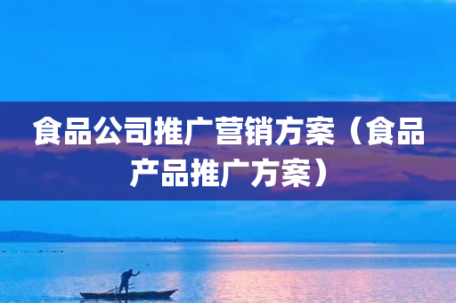 食品公司推广营销方案（食品产品推广方案）