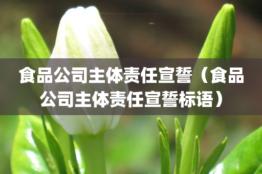 食品公司主体责任宣誓（食品公司主体责任宣誓标语）