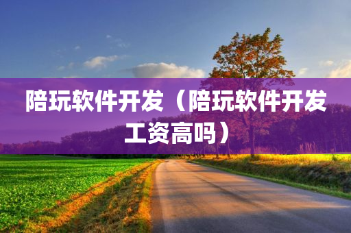 陪玩软件开发（陪玩软件开发工资高吗）