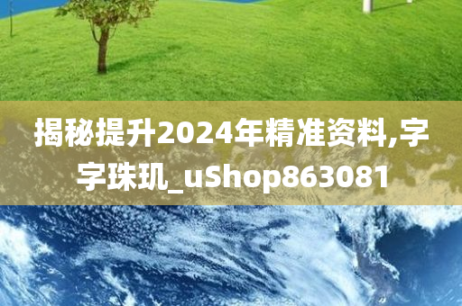 揭秘提升2024年精准资料,字字珠玑_uShop863081
