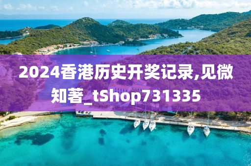 2024香港历史开奖记录,见微知著_tShop731335