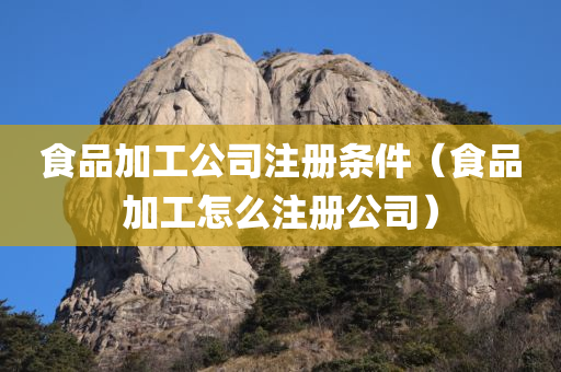 食品加工公司注册条件（食品加工怎么注册公司）