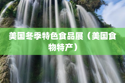 美国冬季特色食品展（美国食物特产）
