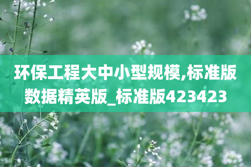 环保工程大中小型规模,标准版数据精英版_标准版423423