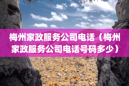 梅州家政服务公司电话（梅州家政服务公司电话号码多少）