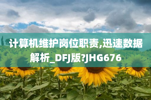 计算机维护岗位职责,迅速数据解析_DFJ版?JHG676