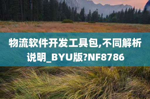 物流软件开发工具包,不同解析说明_BYU版?NF8786