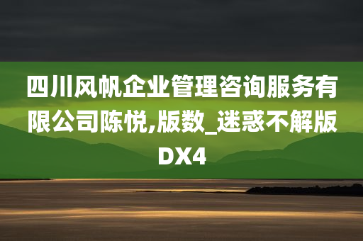 四川风帆企业管理咨询服务有限公司陈悦,版数_迷惑不解版DX4