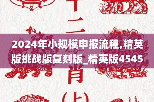 2024年小规模申报流程,精英版挑战版复刻版_精英版4545
