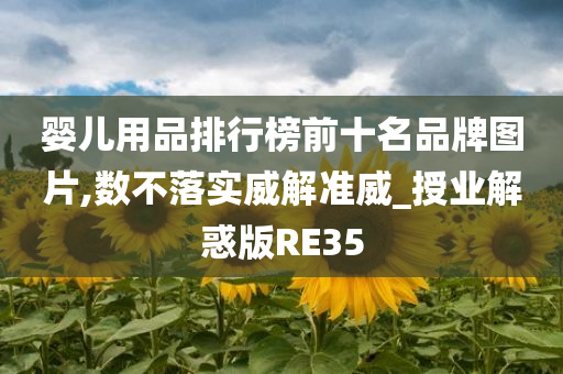 婴儿用品排行榜前十名品牌图片,数不落实威解准威_授业解惑版RE35
