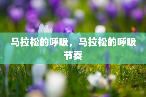 马拉松的呼吸，马拉松的呼吸节奏今晚必出三肖2025_2025新澳门精准免费提供·精确判断
