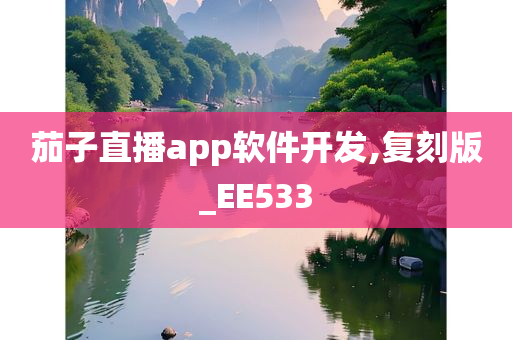 茄子直播app软件开发,复刻版_EE533