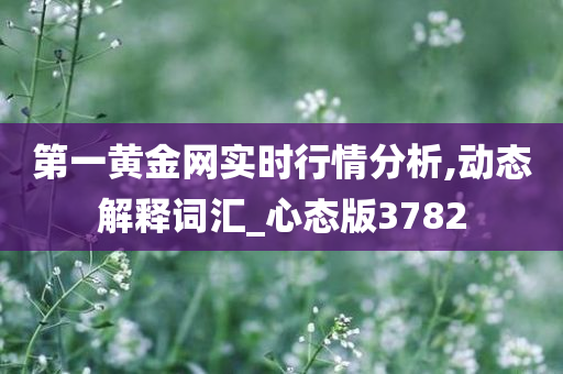 第一黄金网实时行情分析,动态解释词汇_心态版3782