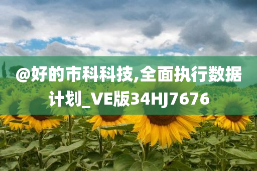 @好的市科科技,全面执行数据计划_VE版34HJ7676