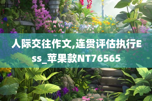 人际交往作文,连贯评估执行Ess_苹果款NT76565