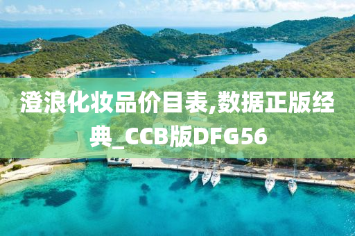澄浪化妆品价目表,数据正版经典_CCB版DFG56