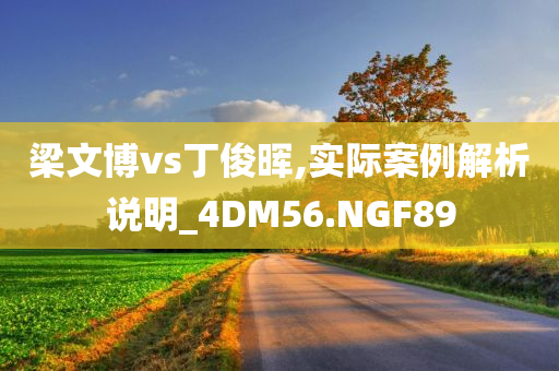 梁文博vs丁俊晖,实际案例解析说明_4DM56.NGF89
