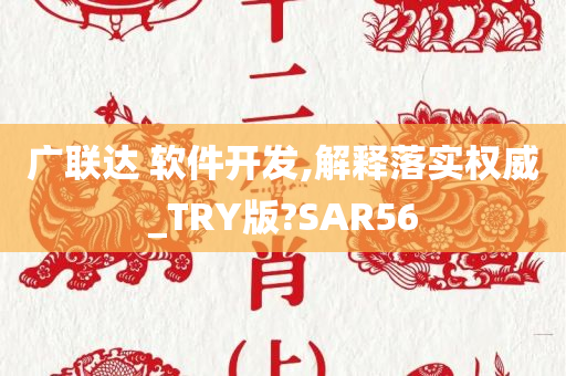 软件开发 第30页