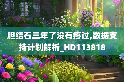胆结石三年了没有疼过,数据支持计划解析_HD113818