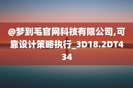 @梦到毛官网科技有限公司,可靠设计策略执行_3D18.2DT434