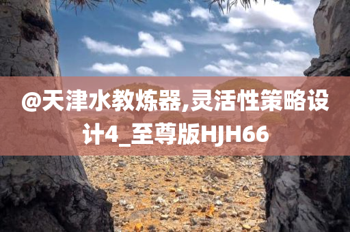 @天津水教炼器,灵活性策略设计4_至尊版HJH66