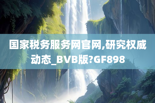 国家税务服务网官网,研究权威动态_BVB版?GF898