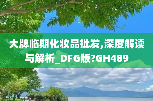 大牌临期化妆品批发,深度解读与解析_DFG版?GH489