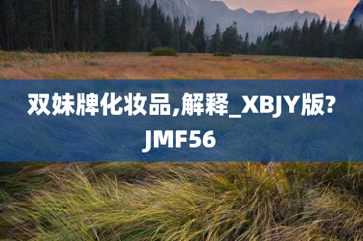 双妹牌