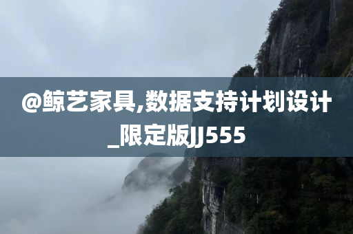 @鲸艺家具,数据支持计划设计_限定版JJ555