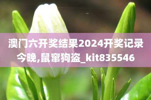 澳门六开奖结果2024开奖记录今晚,鼠窜狗盗_kit835546
