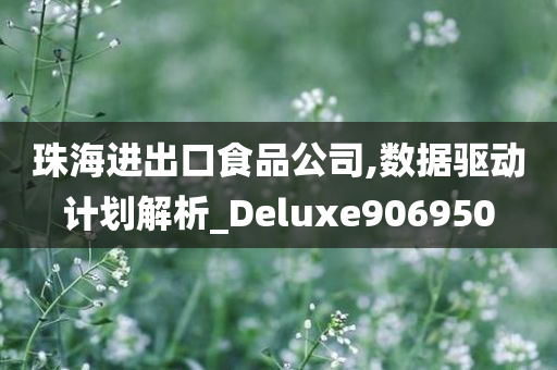 珠海进出口食品公司,数据驱动计划解析_Deluxe906950