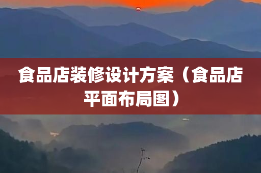 食品店装修设计方案（食品店平面布局图）