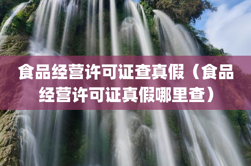 食品经营许可证查真假（食品经营许可证真假哪里查）