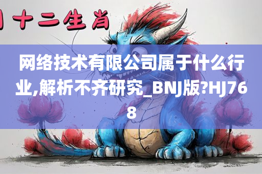 网络技术有限公司属于什么行业,解析不齐研究_BNJ版?HJ768