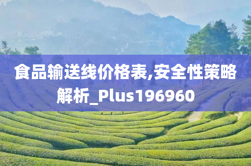 食品输送线价格表,安全性策略解析_Plus196960