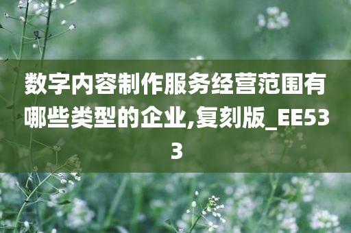 数字内容制作服务经营范围有哪些类型的企业,复刻版_EE533
