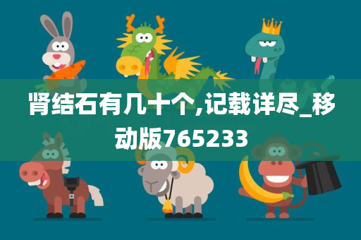 肾结石有几十个,记载详尽_移动版765233