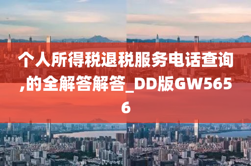 个人所得税退税服务电话查询,的全解答解答_DD版GW5656