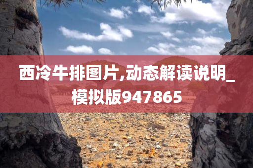 西冷牛排图片,动态解读说明_模拟版947865